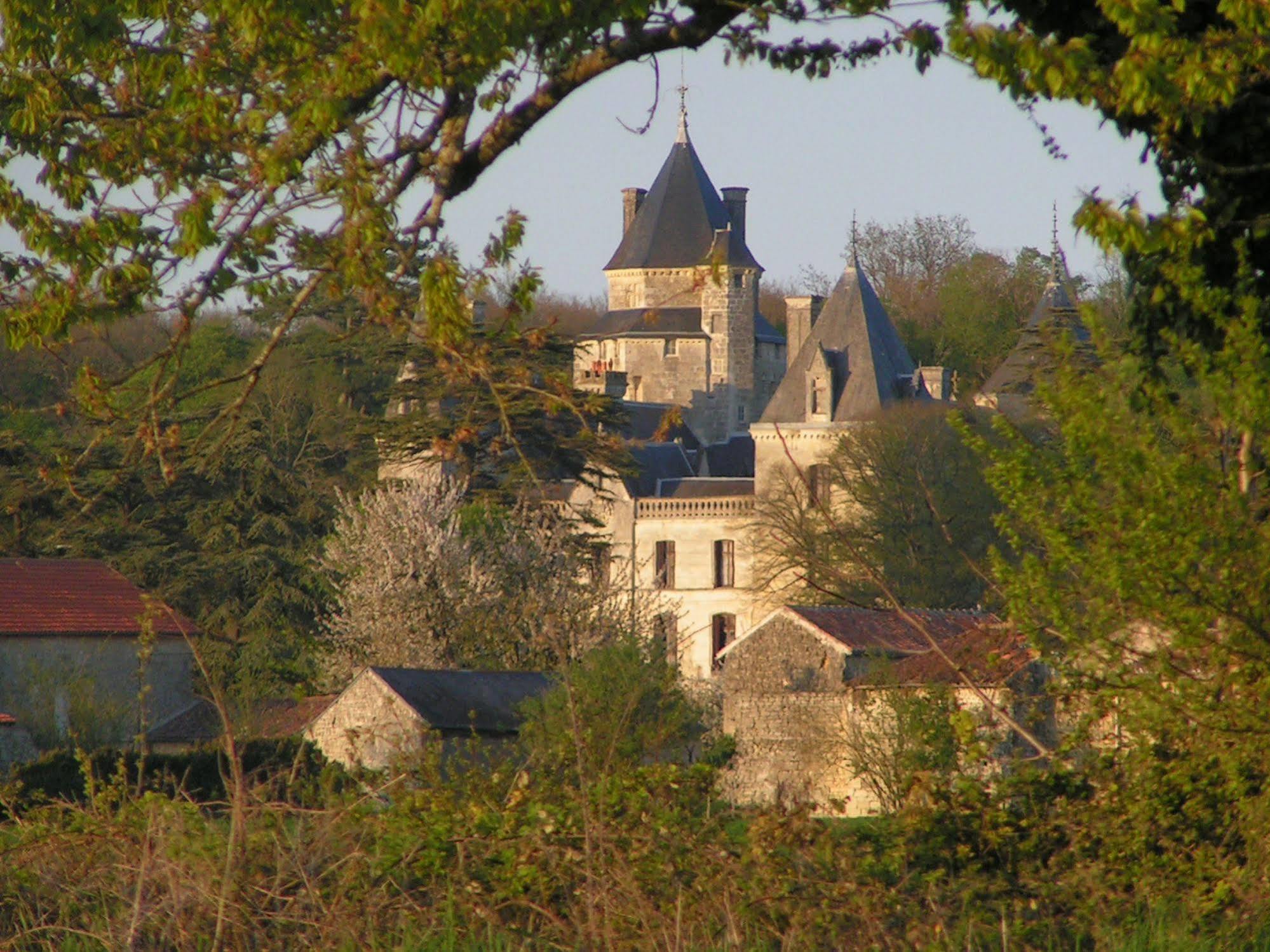 Chateau De Ternay Ternay  Exterior foto